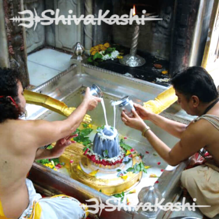 Rudrabhishek at Kashi Vishwanath